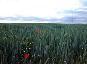 Paisaje. Excursiones primavera.