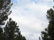 bosques españoles duplicado últimos cien años ABC.es