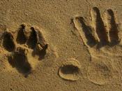 Superando 8000!!!!!! facebook