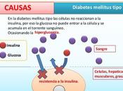 Noticias Médicas: "Ahora somos capaces posiblemente revertir diabetes"