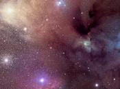 ✨Rho Ophiuchi Steven Mazlin