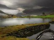 ojos decían adelante...