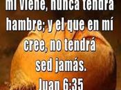 busca vida plena