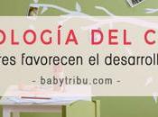 Simbología Color: ¿Qué colores favorecen desarrollo infantil?