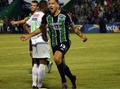 Cafetaleros Murciélagos