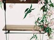 Decora Sillas Ceremonia Jazmines.