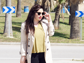 pongo para viajar avión