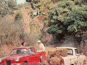 SIAM Argenta versión argentina