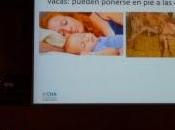 Congreso Español Lactancia Materna: Lactancia, Colecho SMSL