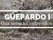 Guepardo