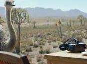 avestruz descubre realidad virtual este divertido anuncio Samsung