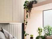 Delicada madera decoracion