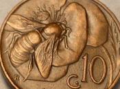 Moneda abeja coin with bee.