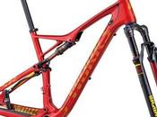 Specialized Mountain Bike