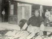 Paulita", pescatera real