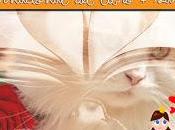 libro Sant Jordi Encuesta lectora