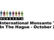 Monsanto, culpable daños salud ecocidio