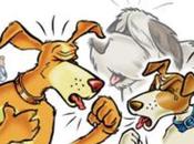 perro tose mucho