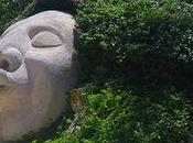 Xenses, único sorprendente