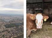 Snapchat modifica presentación Memories