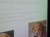 Show Tell ........2ND Term