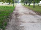 Pequeños sabios maestros: “No”