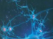 Inteligencia Artificial: todo mundo debe saber