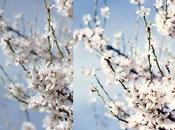 Cinco modos fusión infalibles