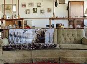 cierto panorama. Reciente fotografía autor España’, exposición sobre nueva generación rompe moldes