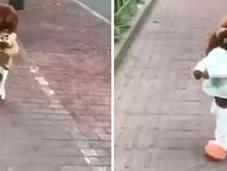 vídeo viral perro camina erguido divertido cómo crees