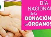 nacional donación órganos