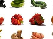 Mutato Project rarezas naturales