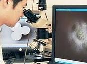 microscopio para observar virus vivos