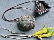Uso, arte costumbres… tortugas cultura humana…Bolivia: Parte: Resonadores charangos...