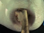 Disparando bolas plástico barriga cámara superlenta