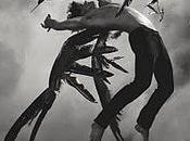Hush, hush Becca Fitzpatrick.