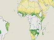 Después este nuevo estudio, hablar también atlas forestal