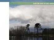 ¿Relatos cortos? Entre gargantas libro