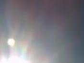 realidad misterio Hercolobus