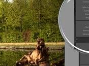 Pixel Peeper, programa chiva cómo procesado imagen Lightroom