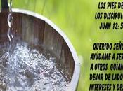 Aquí para servir