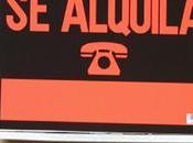 vientres alquiler