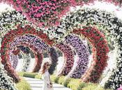 Wedding Inspiration: decoraciones florales enamoran primera vista...