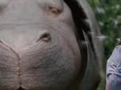 ¨okja¨ película crea polémica mensaje defensa vida