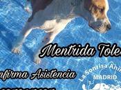 Jornada puertas abiertas sonrisa animal. julio.