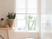 myra house, pura relajación