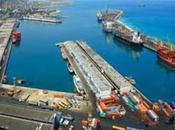 Arribaron contenedores alimentos, ganado productos agroquímicos