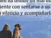 Acompañamiento