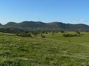 Análisis ideas para luchar contra despoblación rural Castilla-La Mancha
