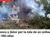 Bronca dolor tala coihue años Villa Angostura